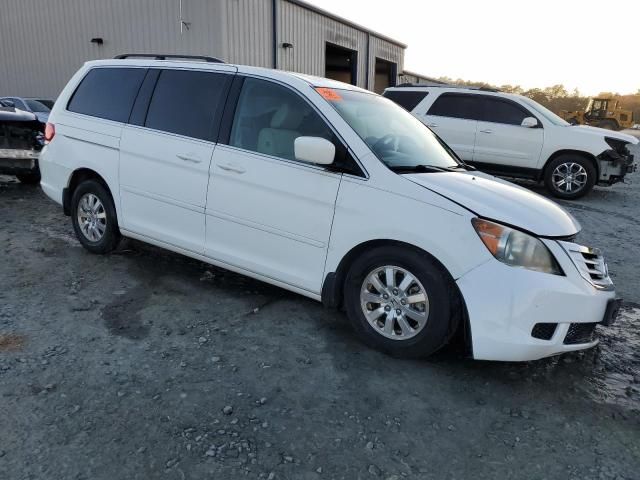 2008 Honda Odyssey EXL