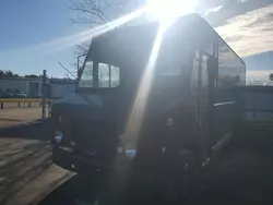 Salvage trucks for sale at Brookhaven, NY auction: 2009 Freightliner Chassis M Line WALK-IN Van