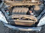 2006 Honda Odyssey EXL