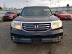 2013 Honda Pilot EXL