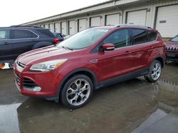 Salvage cars for sale at Louisville, KY auction: 2014 Ford Escape Titanium