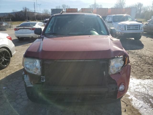 2009 Ford Escape XLT