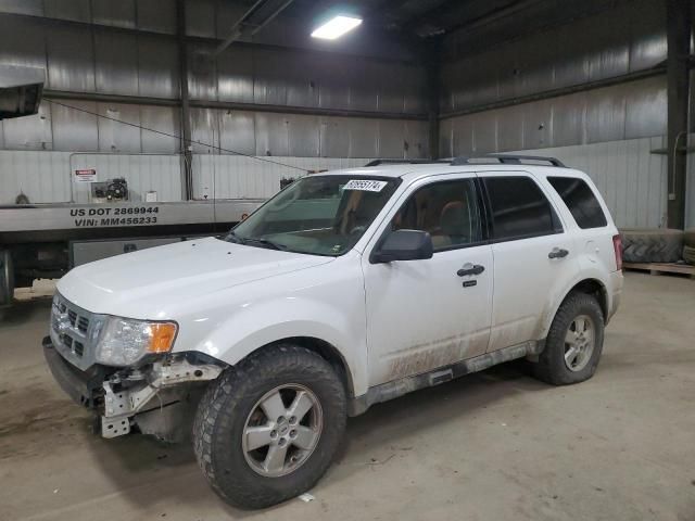 2010 Ford Escape XLT