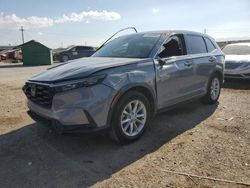 Salvage cars for sale from Copart Tucson, AZ: 2023 Honda CR-V EXL