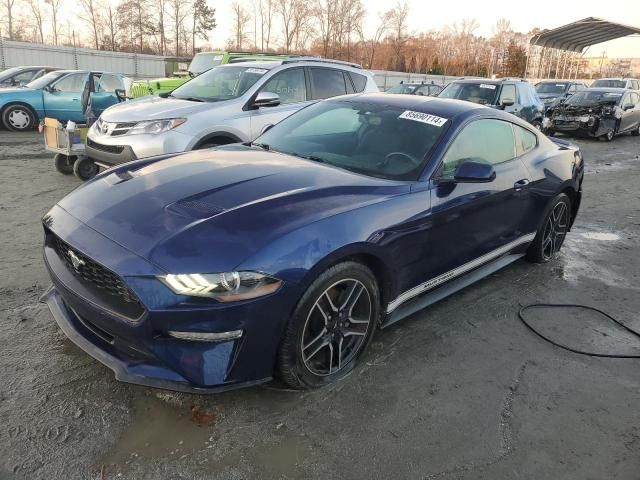 2019 Ford Mustang