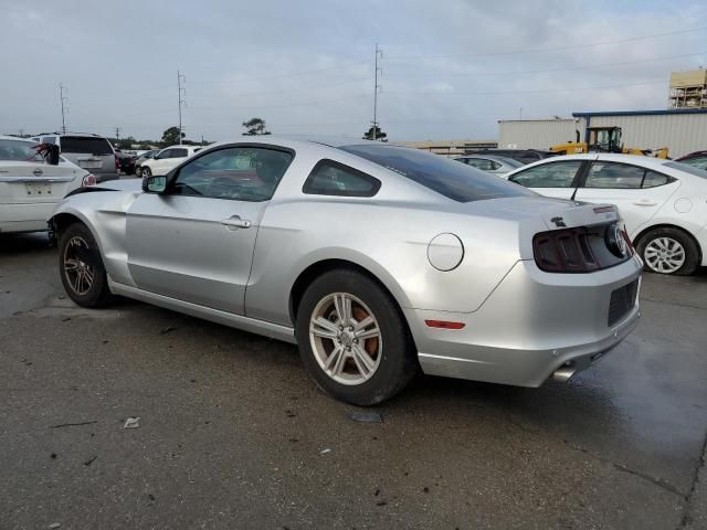 2013 Ford Mustang