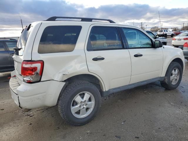 2009 Ford Escape XLT