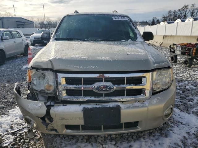 2010 Ford Escape XLT