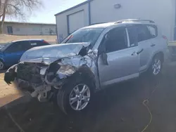 2009 Toyota Rav4 en venta en Albuquerque, NM