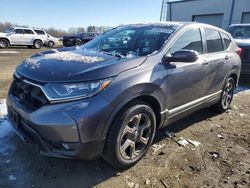 Salvage cars for sale at Windsor, NJ auction: 2019 Honda CR-V EX