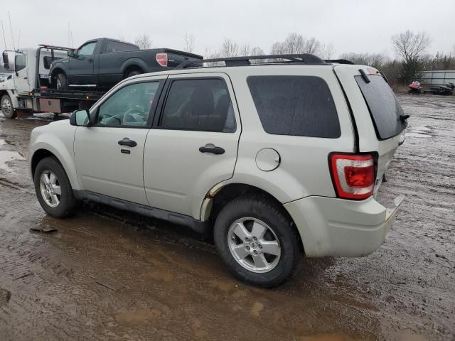 2009 Ford Escape XLT