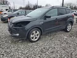 Salvage cars for sale at Columbus, OH auction: 2015 Ford Escape SE