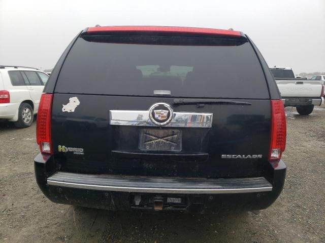 2009 Cadillac Escalade Hybrid