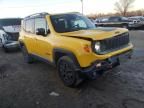 2018 Jeep Renegade Trailhawk