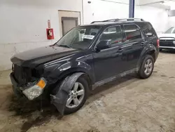 Salvage cars for sale from Copart Ham Lake, MN: 2012 Ford Escape Limited