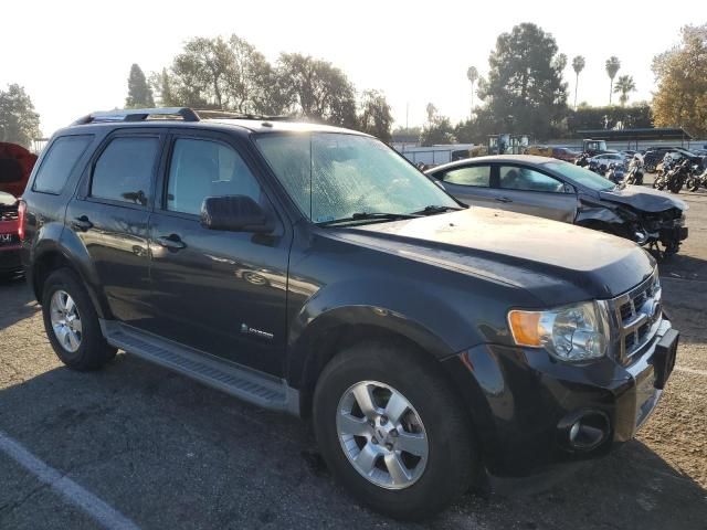 2009 Ford Escape Hybrid