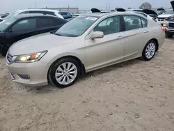 Honda Accord exl salvage cars for sale: 2013 Honda Accord EXL