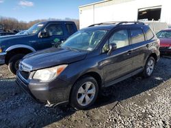 Salvage SUVs for sale at auction: 2014 Subaru Forester 2.5I Premium