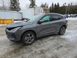 Salvage cars for sale at Montreal Est, QC auction: 2024 Ford Escape ST Line Select