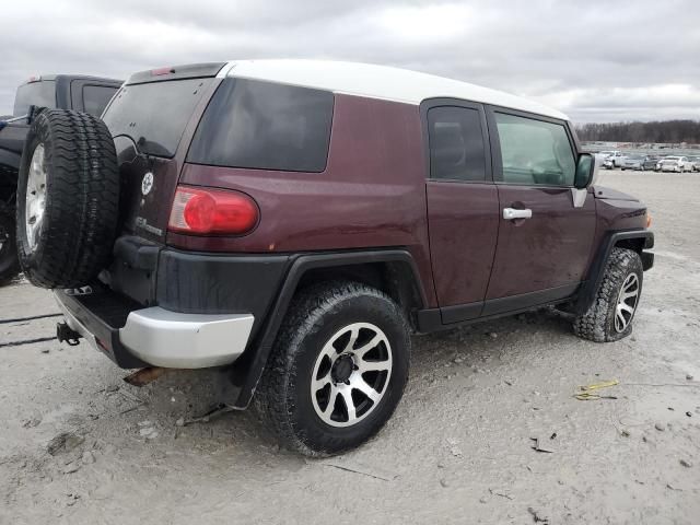 2007 Toyota FJ Cruiser