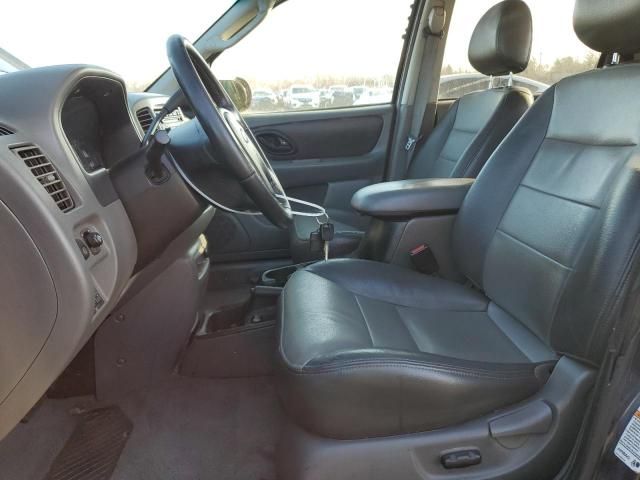 2003 Ford Escape XLT