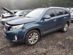 KIA Sorento salvage cars for sale: 2014 KIA Sorento EX