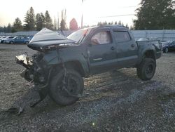 Toyota Tacoma Double cab salvage cars for sale: 2013 Toyota Tacoma Double Cab