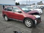 2009 Honda CR-V EX