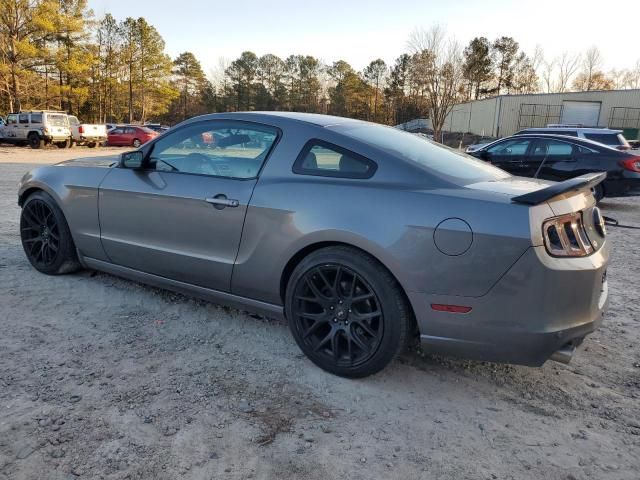 2013 Ford Mustang