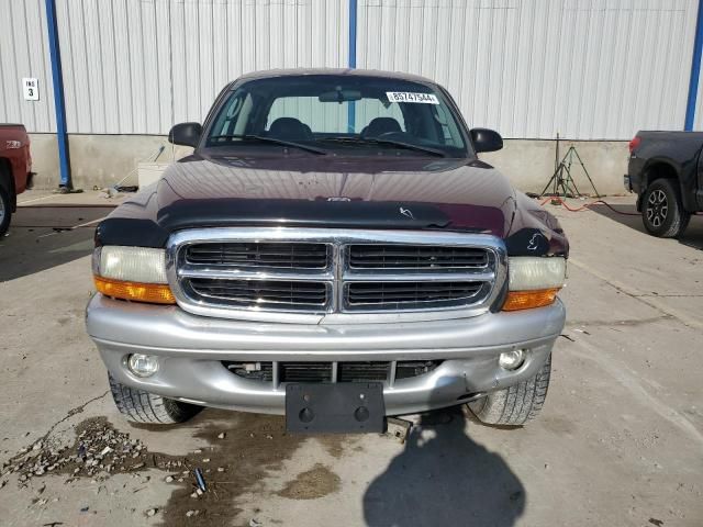 2003 Dodge Dakota Quad SLT