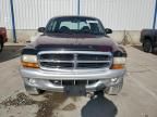 2003 Dodge Dakota Quad SLT