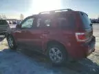 2009 Ford Escape Limited