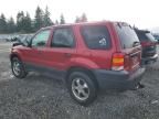 2006 Ford Escape XLT