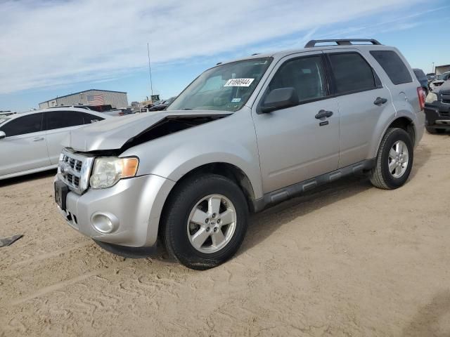 2010 Ford Escape XLT