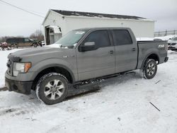 Vehiculos salvage en venta de Copart Portland, MI: 2013 Ford F150 Supercrew