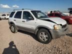 2002 Ford Escape XLT