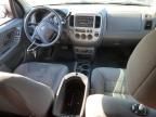 2003 Ford Escape XLT