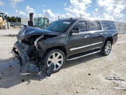 Salvage cars for sale from Copart Arcadia, FL: 2018 Cadillac Escalade ESV Luxury