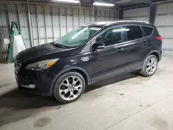 Salvage cars for sale at Madisonville, TN auction: 2013 Ford Escape Titanium