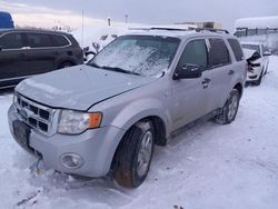 Ford salvage cars for sale: 2008 Ford Escape XLT