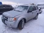 2008 Ford Escape XLT