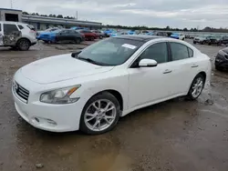 2013 Nissan Maxima S en venta en Harleyville, SC