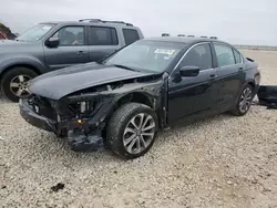 Salvage cars for sale at Taylor, TX auction: 2010 Honda Accord EXL