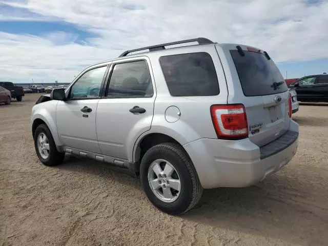 2010 Ford Escape XLT