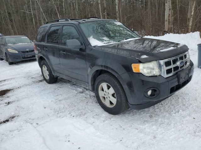 2010 Ford Escape XLT