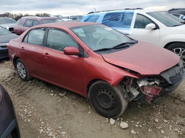 2009 Toyota Corolla Base