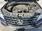 2013 Mercedes-Benz ML 350