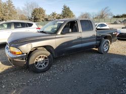 2001 Dodge Dakota Quattro en venta en Madisonville, TN