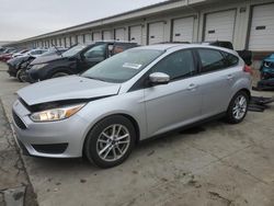 Salvage cars for sale at Louisville, KY auction: 2016 Ford Focus SE