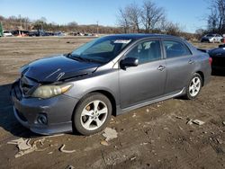 Salvage cars for sale at Baltimore, MD auction: 2011 Toyota Corolla Base